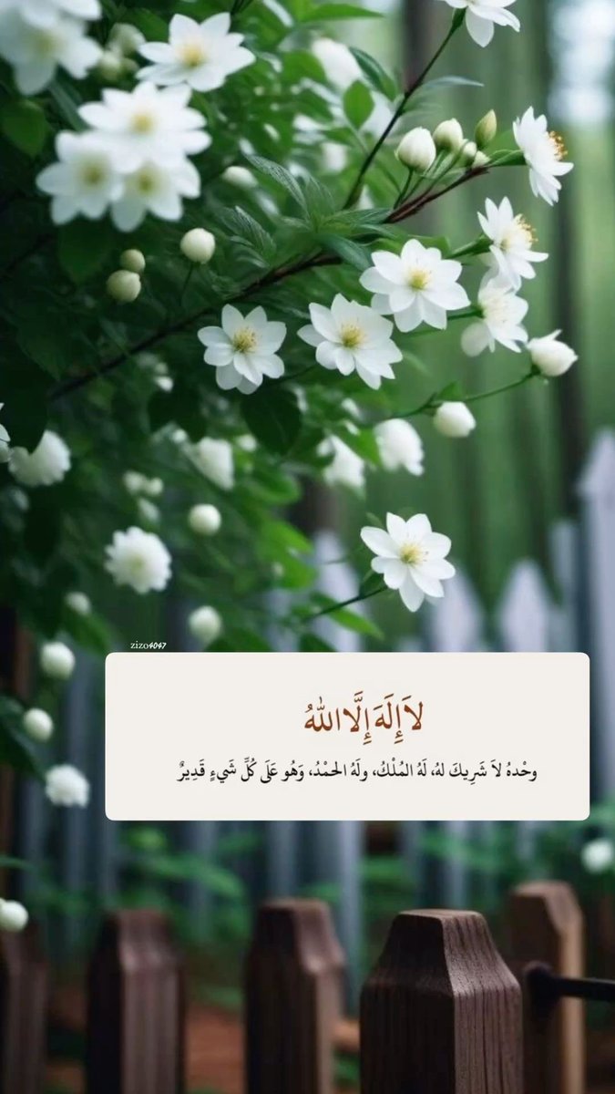 يارب قر عيني بالخير 
وإذا قضيت لي أمرا فبعزتك أرضني به🤍
اللهم صل وسلم وبارك على نبينا محمد🌸