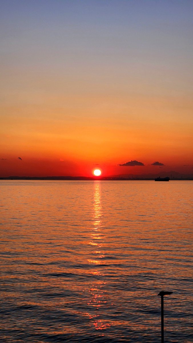 いもむしc(.(.(.(.(@･ω･) tweet media