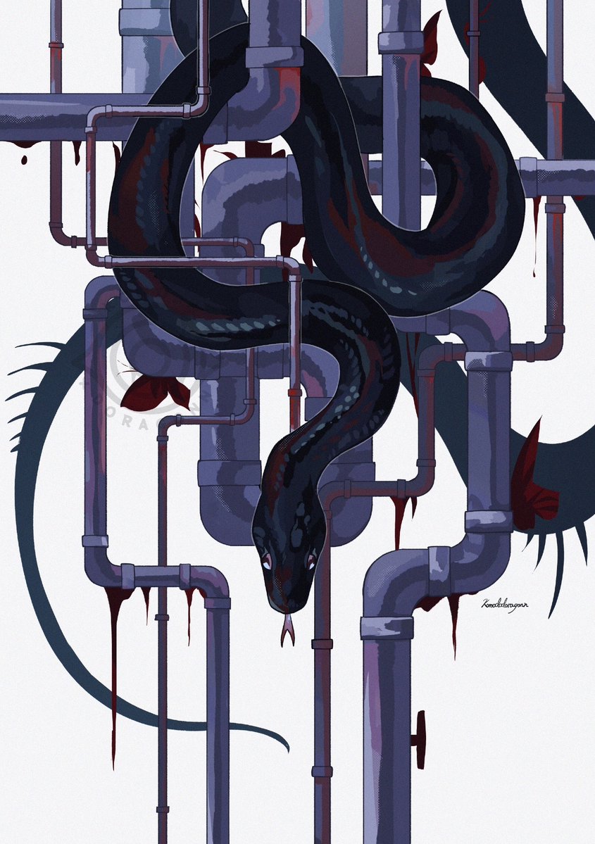 komododoragonn_'s tweet image. 