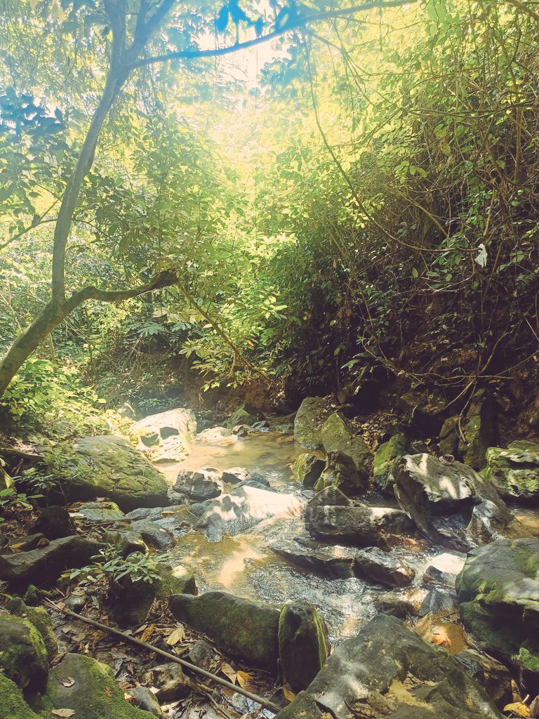 lilypeony00's tweet image. i love nature so much 
habis ujian langsung ke air terjun xixixixixixi
#airterjun #happygirls