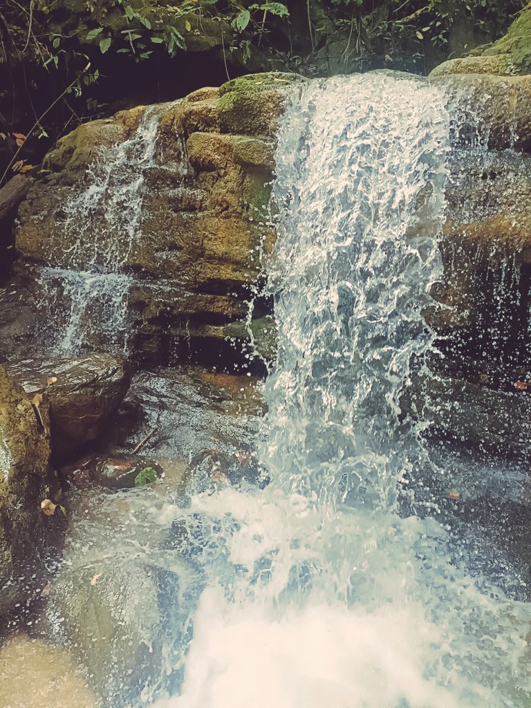 lilypeony00's tweet image. i love nature so much 
habis ujian langsung ke air terjun xixixixixixi
#airterjun #happygirls