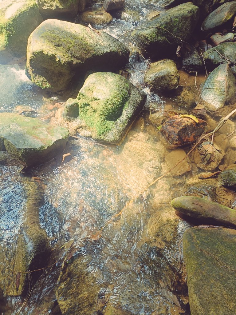 lilypeony00's tweet image. i love nature so much 
habis ujian langsung ke air terjun xixixixixixi
#airterjun #happygirls