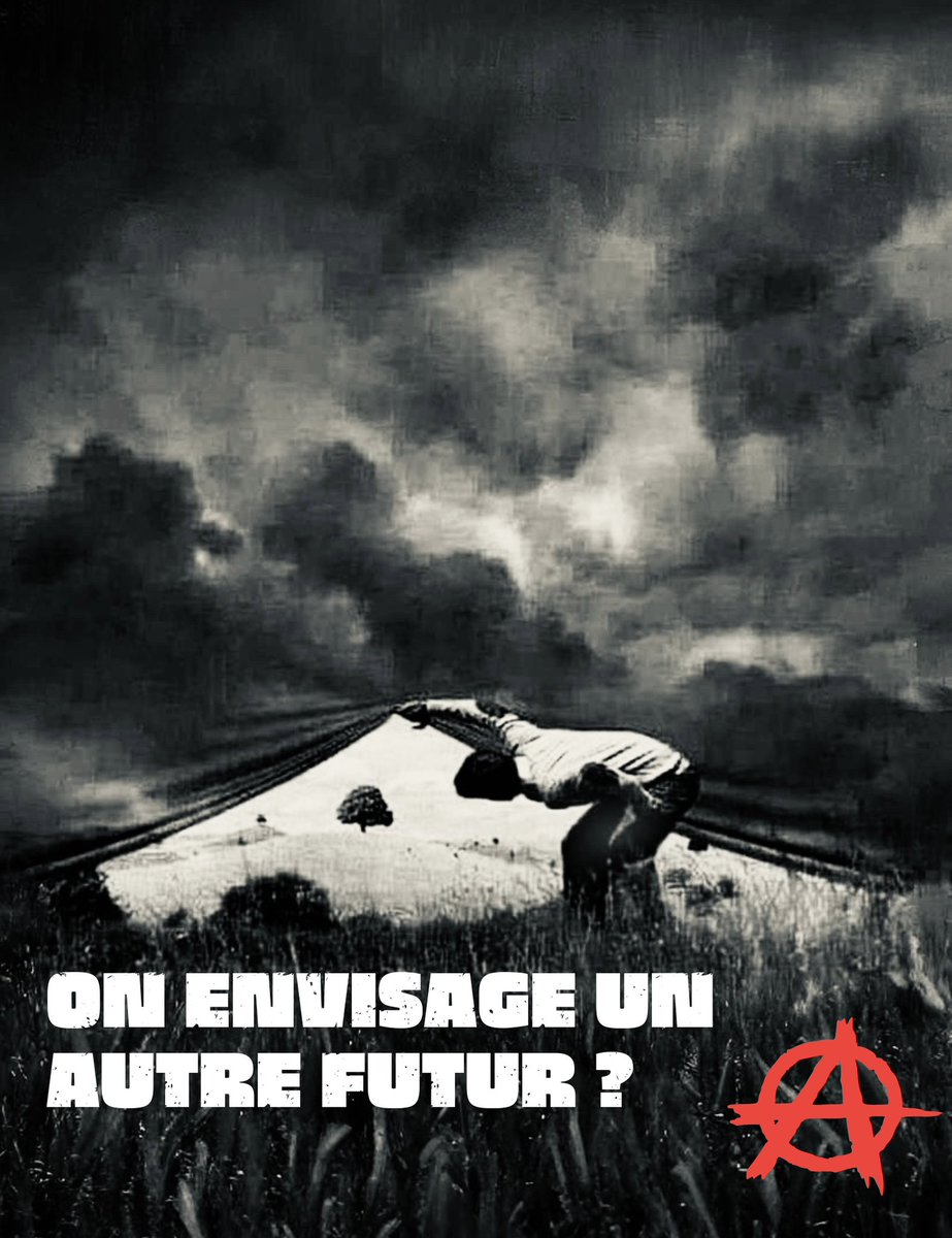 Spider_Jerus@lem Ⓐ ⏚ 🏴🇵🇸 🇳🇨 🐈‍⬛🔻✊ 🕷🕸🏴‍☠️ tweet media