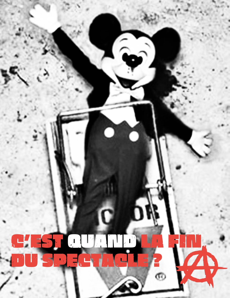 Spider_Jerus@lem Ⓐ ⏚ 🏴🇵🇸 🇳🇨 🐈‍⬛🔻✊ 🕷🕸🏴‍☠️ tweet media