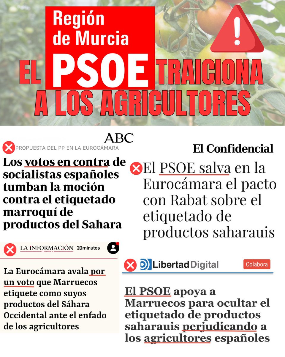 🚨El PSOE traiciona a los agricultores.

El eurodiputado socialista de la Región de Murcia, de la mano de Lucas, ha preferido esconderse para proteger los intereses de Pedro Sánchez con Marruecos antes que defender la agricultura de nuestra Región.