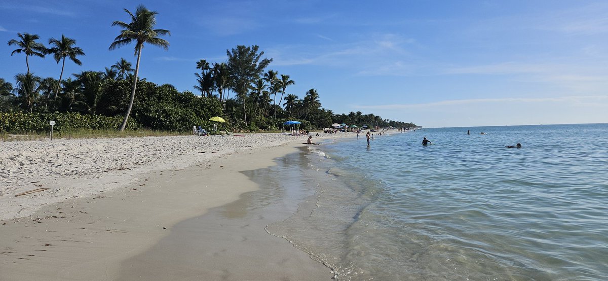 Brian Beard tweet media