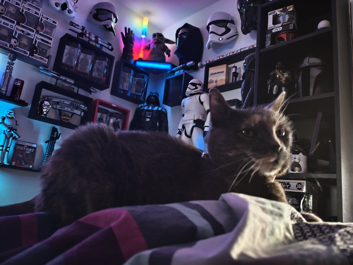 Star Wars et un petit chat 🐱 

"Cat wars"