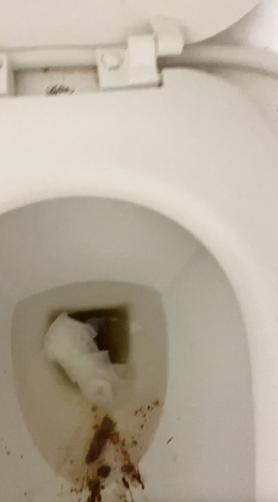 SCaT_Poopy's tweet photo. Guess I should drop a few more then… maybe even more dangerous ones? 🤭😏 https://t.co/YS2RfqgkuJ