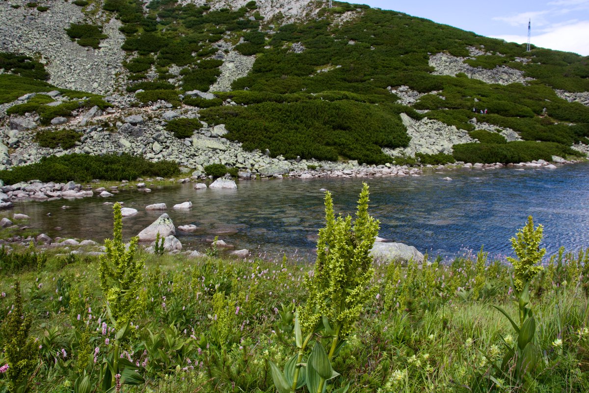 q_qflow's tweet image. Water never rushes, yet it shapes mountains.
That’s the quiet power of balance.
Flow &amp;gt; force.
Movement &amp;gt; pressure.
Q-FLOW is built on the same principle —
slow, steady, intentional growth.
#HydroWisdom #QFLOW