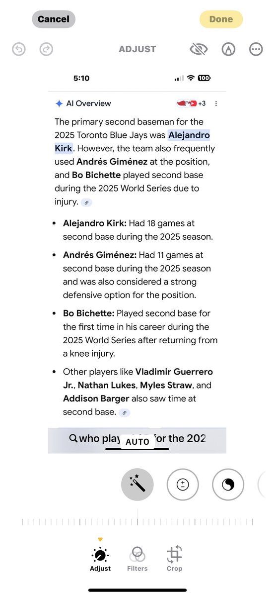 Karen Blue Jays fan tweet media