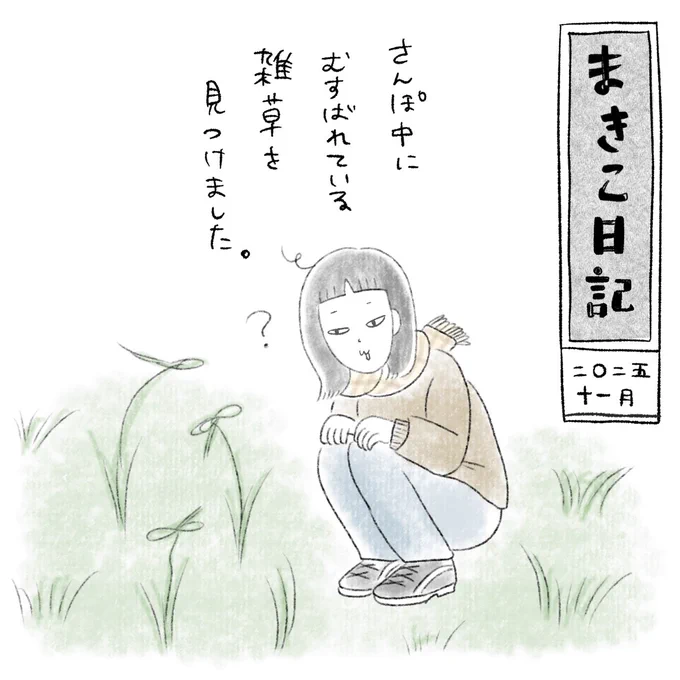 散歩中にかわいい発見🔍
#まきこ日記 