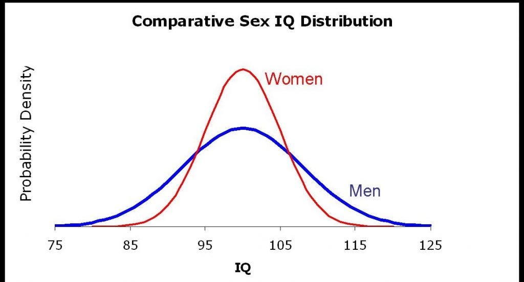 Leo Borealis tweet media