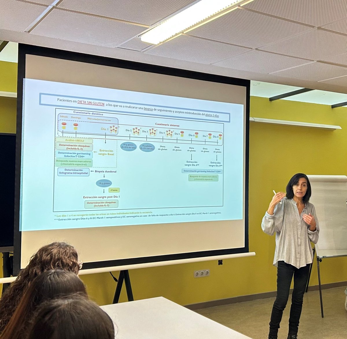 Labgencomplejas's tweet image. El pasado viernes 7 abrimos las puertas de nuestro laboratorio en la Semana de la Ciencia. En “Descubre desde dentro cómo se construye una carrera científica” mostramos cómo dar los primeros pasos en la investigación y las distintas trayectorias posibles en este campo 🔬💡