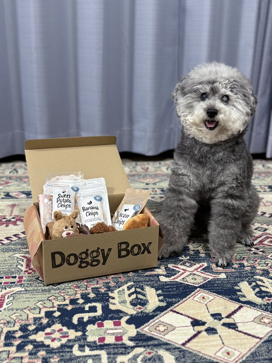 ukikooooo's tweet photo. ドギボ8周年おめ🎉
#doggybox #ドギーボックス #PR https://t.co/RFE3jy0u8l
