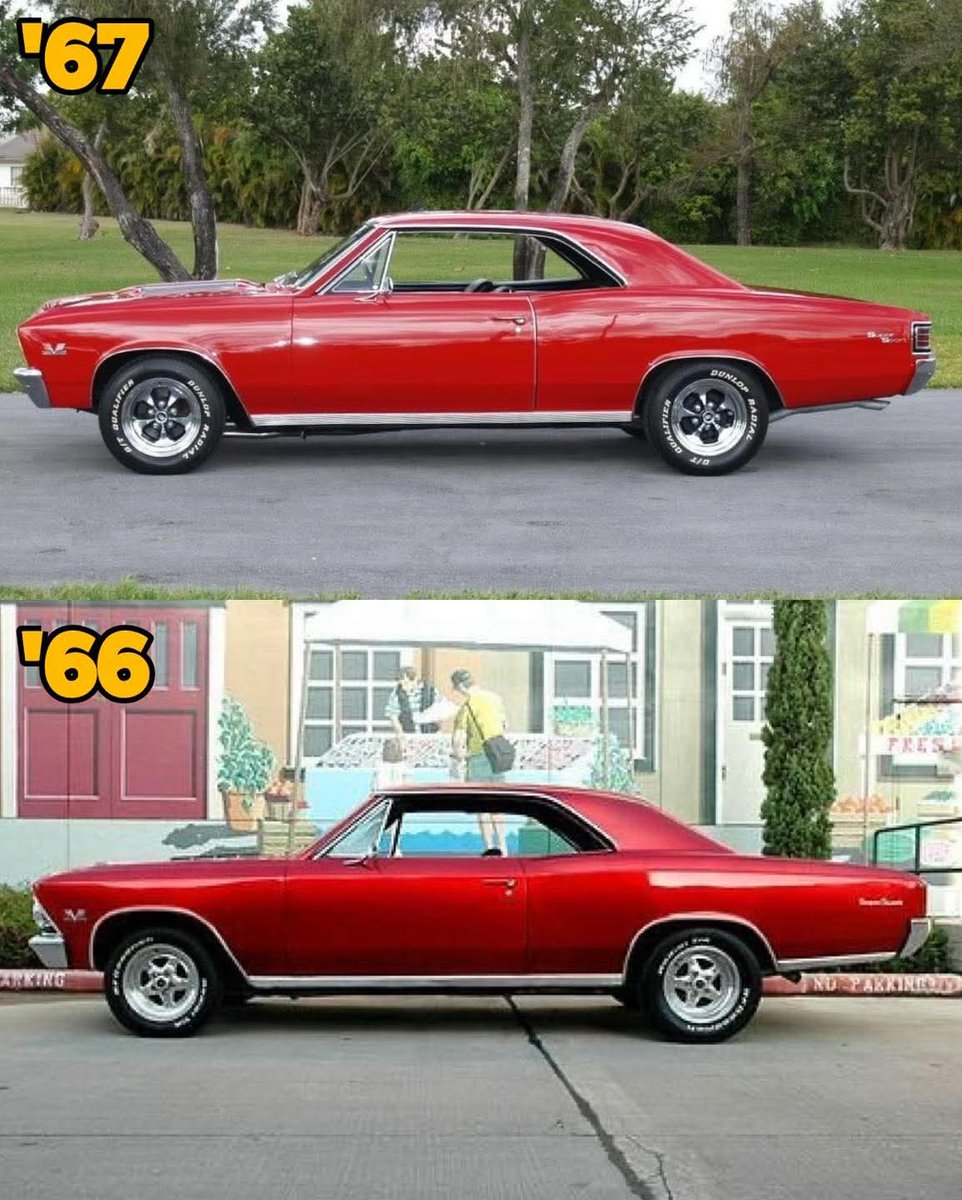 Vintage Cars Collection tweet media
