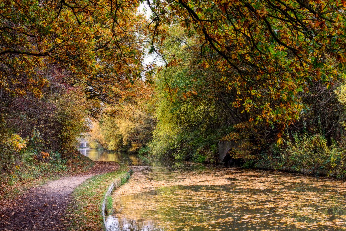 plw1053's tweet photo. Colours on the cut,  Coventry canal, Pooley  #plw1053 #boatsthattweet #tenfiftythreeimages

@CRTBoating
#bridgeoftheday
@NABO_Official

#Autumn #Bridgeoftheday #reflections #PhotographyIsArt
@towpathtalk

#hiddendepths #BandF #waterways https://t.co/VTPHYekaoM