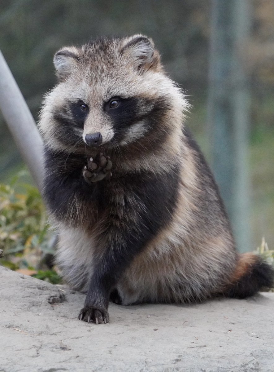 六/写真 (@roku6photo) / Posts / X