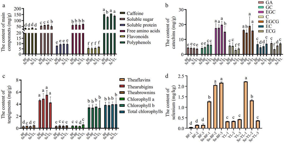 FoodAdvance1's tweet image. #FIA #brewing #selenium
Selenium-enriched teas offer unique health benefits. Se-YL shows better sensory and nutritional profiles than Se-BF. Optimal brewing at 100°C for 5 mins maximizes benefits. 🍵📈
@MaximumAcademic @FoodnNutriti0n @sjtu1896
Details: maxapress.com/article/doi/10…