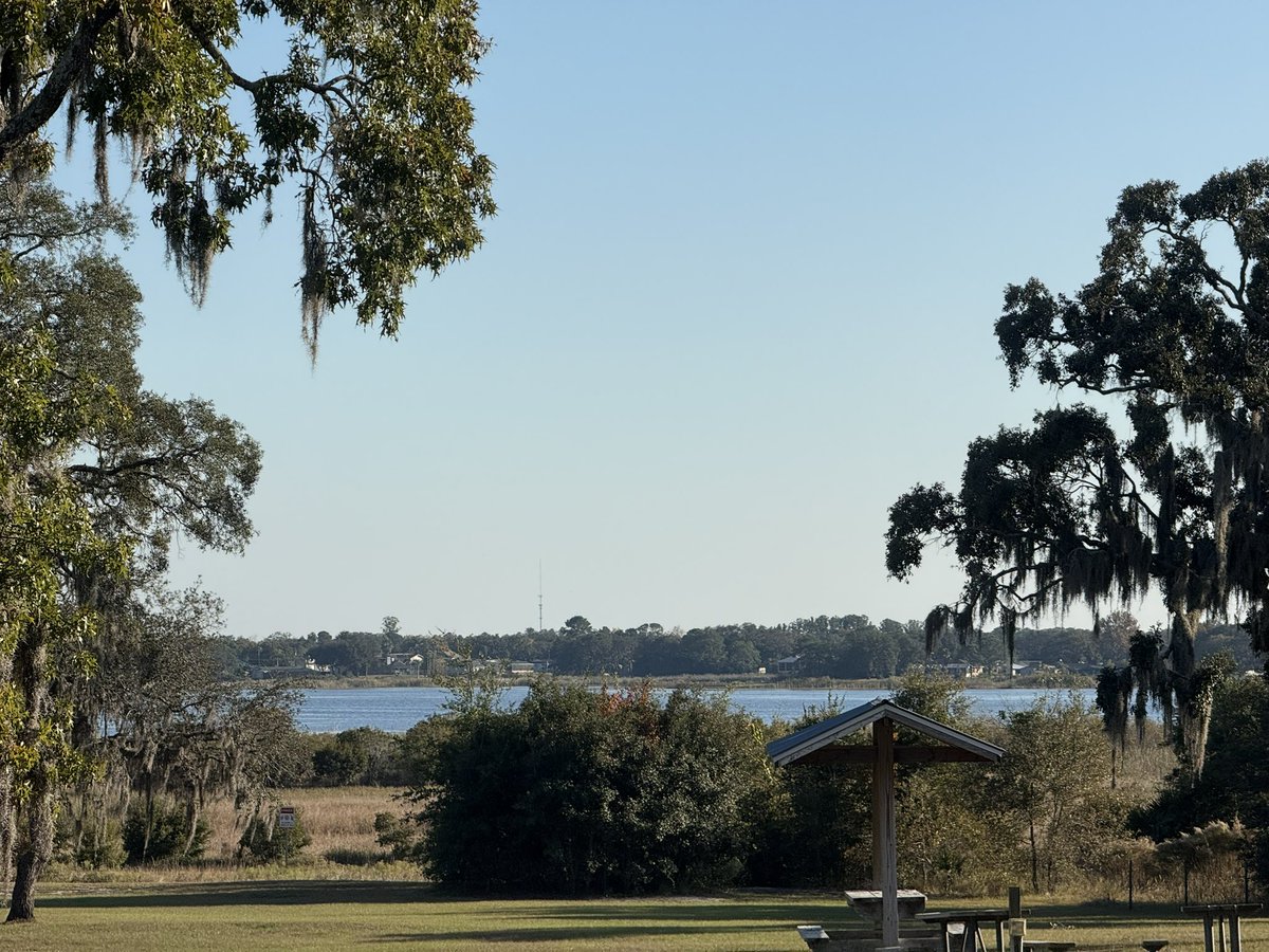 Happy Thanksgiving from Dave and the gang! May you all have a wonderful day.  🙏❤️🙏