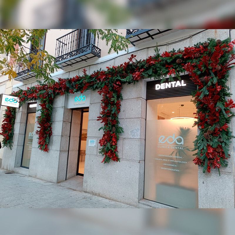 LasCameliasAF's tweet photo. ✨🌲 La magia de la Navidad empieza en la puerta. El último artículo de Un Mundo de Flores muestra cómo una fachada bien decorada puede transformar cualquier entrada en pura ilusión. ¿Listo para darle vida a la tuya? 🎅✨

https://t.co/LmZEkOMMhD https://t.co/zloDQDmwF4