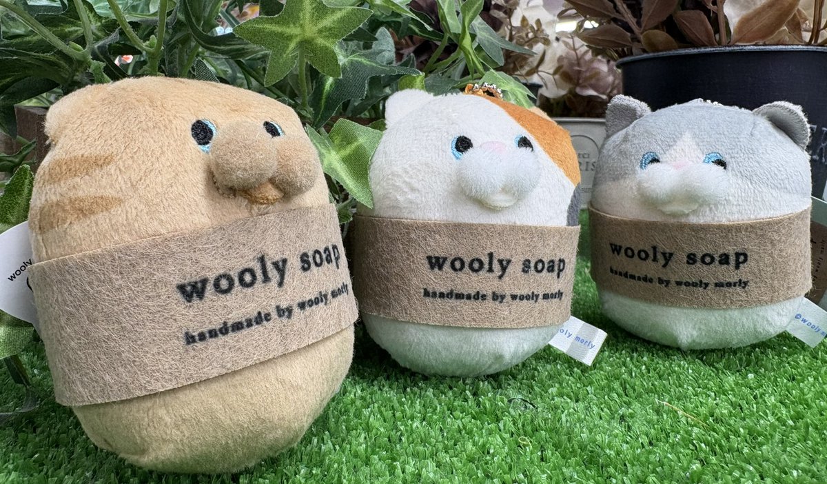 景品情報✨】 羊毛石鹸作家 wooly morlyさんのねこせっけんが登場