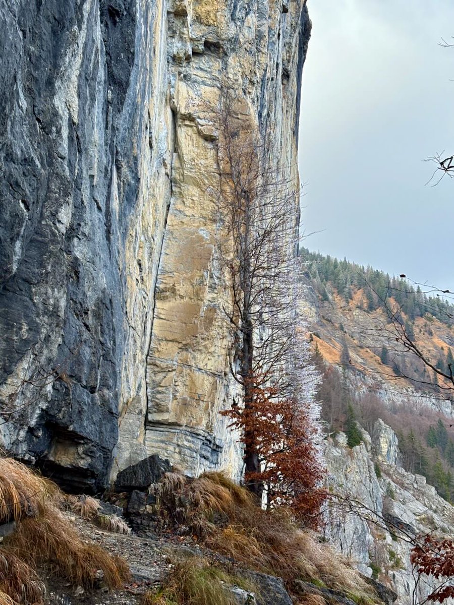 High Mountain Guides tweet media