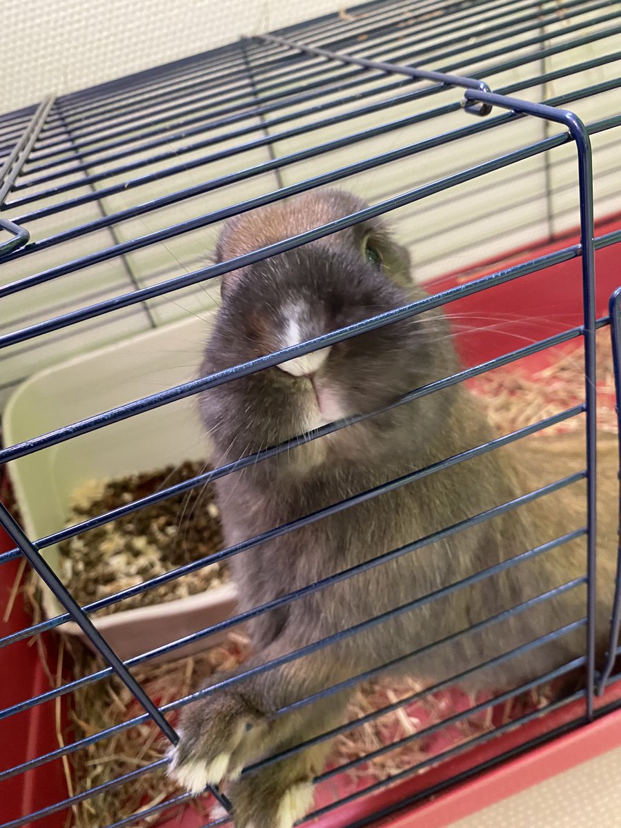 Quand les parents découvrent une matinée de travail en GS avec leurs enfants  
Quinzaine de l’ #ecole #maternelle avec ageem <a href="/AGEEM_National/">AGEEM National</a>  #creney ! Bravo Cora !