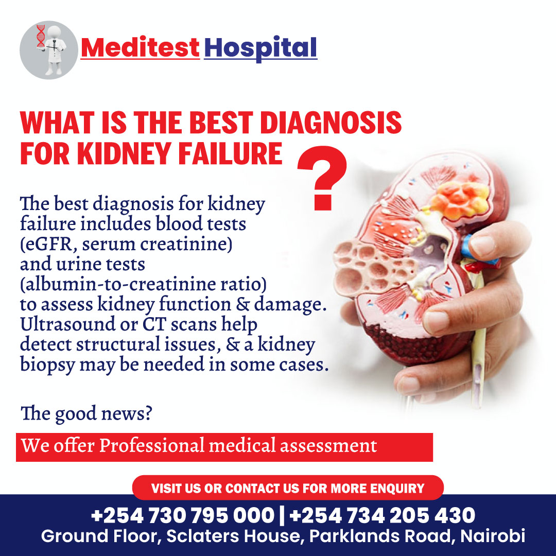 Meditest_Hsp's tweet photo. Your kidneys deserve the best care!
Early diagnosis of kidney failure can save your life.
#KidneyHealth #MeditestHospital #HealthCheckup #embu #NairobiHealth #mbeerenorth #Malava https://t.co/HBlwZfQjHO
