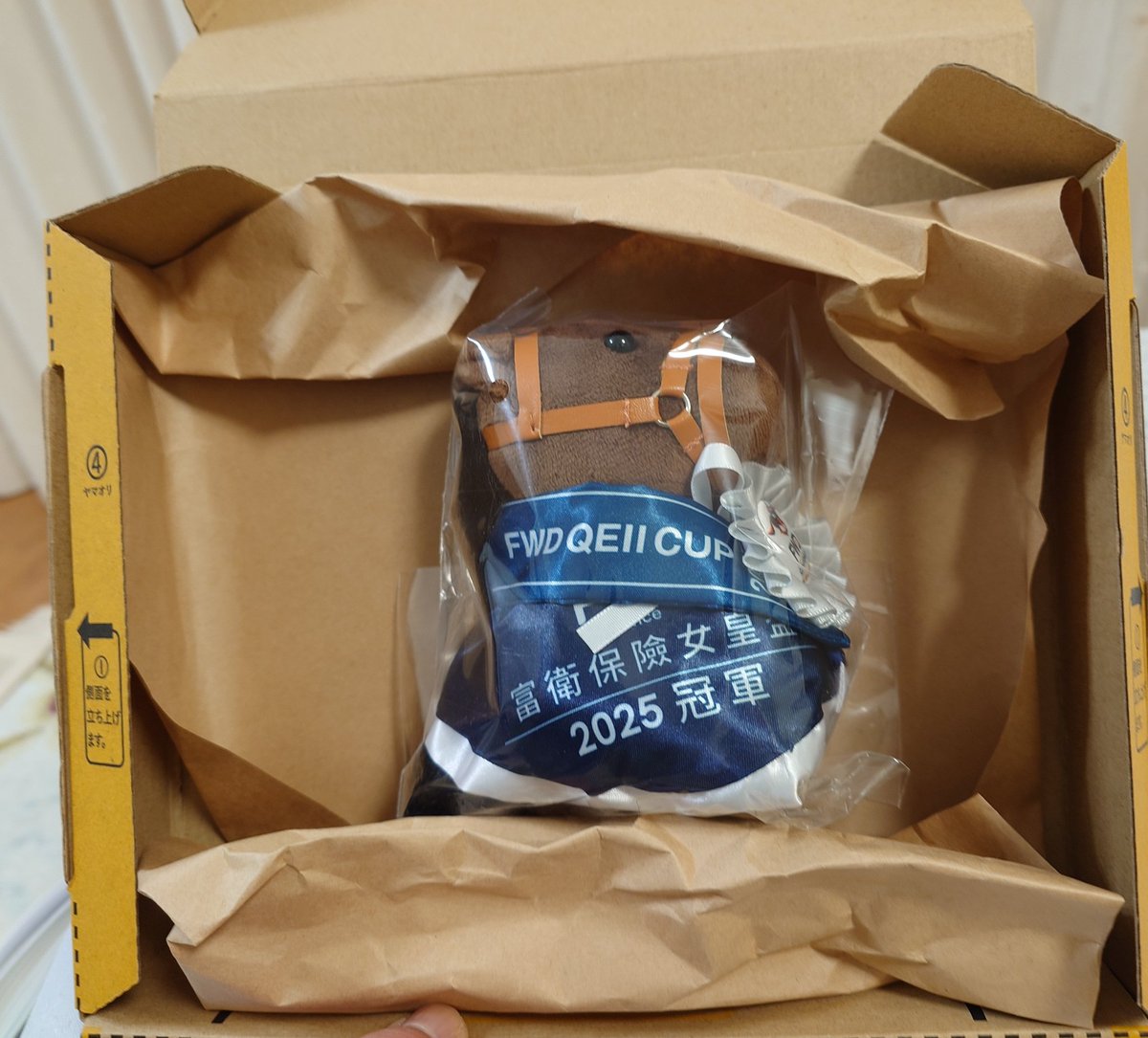 タスティエーラ🥕アイドルホース🐴 (キャロットクラブ限定) 我が家に入