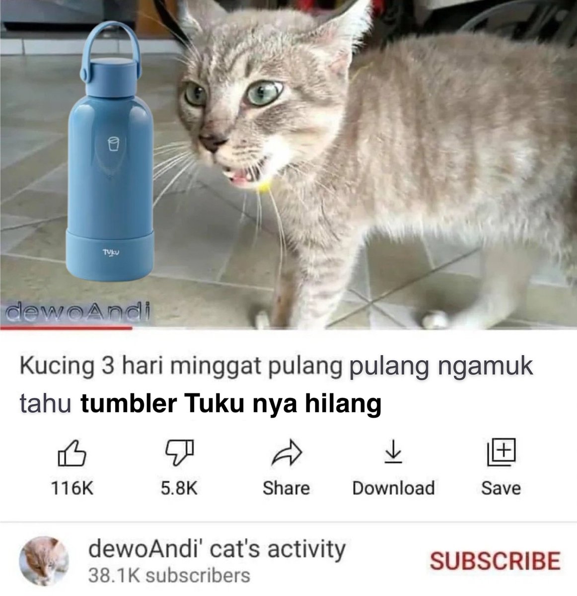 mukaikhlas's tweet image. 