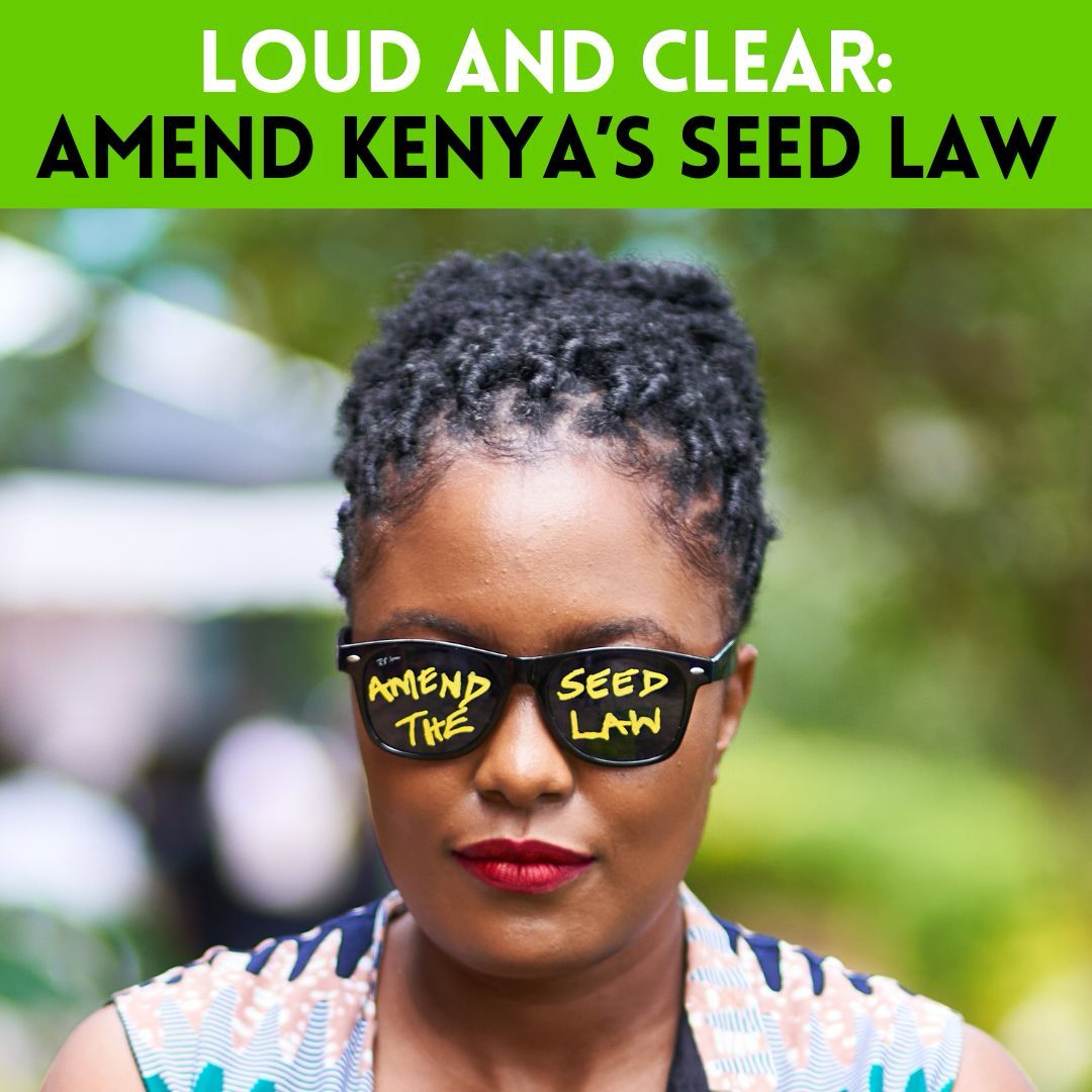 AkinyiOkello3's tweet photo. Indigenous seeds represent our culture,our people’s way of life,a rich tradition that has been handed down from generation to generation.The government should amend these punitive seed laws and allow farmers share and sell indigenous seeds
https://t.co/DbdmEX2PJS
#SaveOurSeed https://t.co/c58mREla1v
