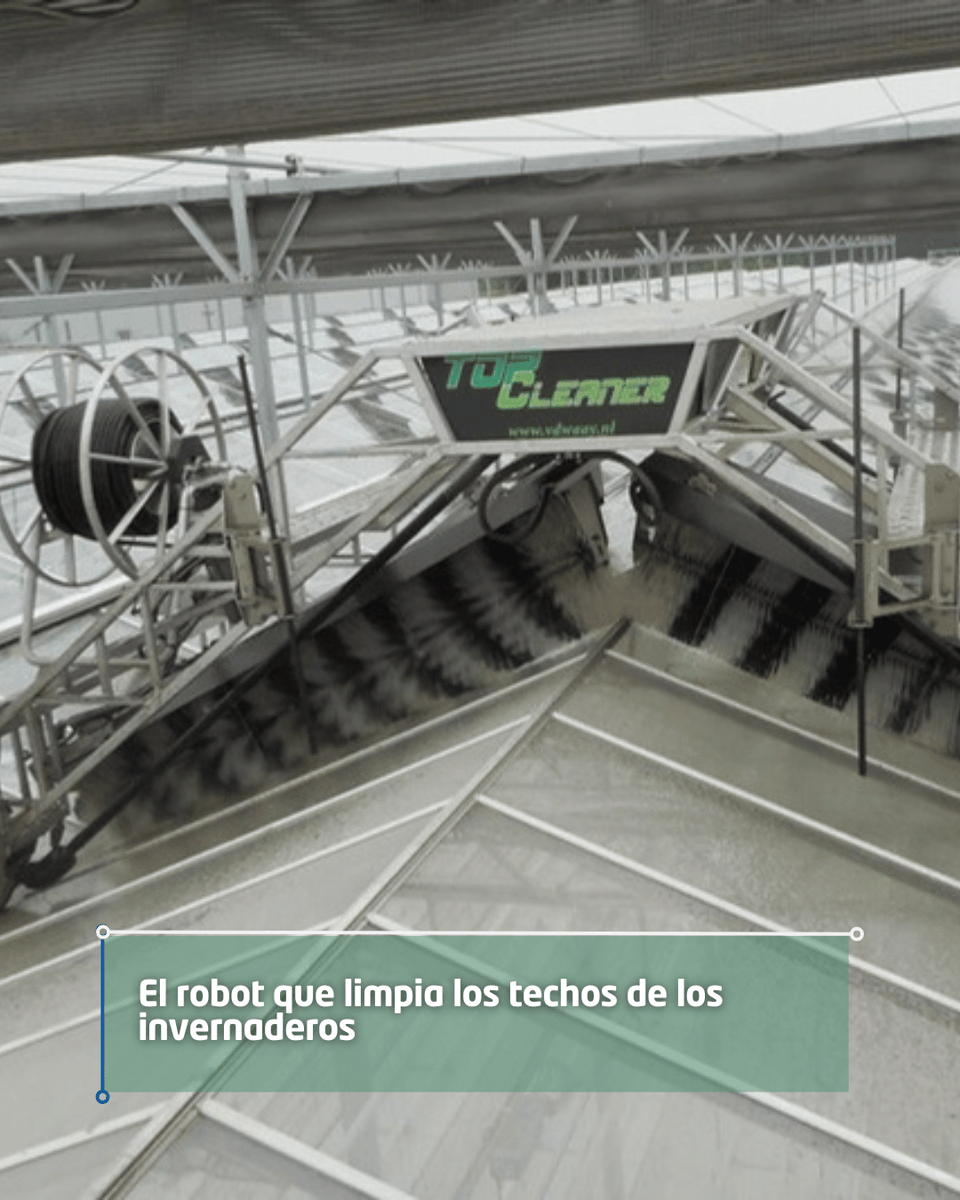 huerta_digital's tweet image. 🔧 Top Cleaner V, el robot autónomo de Van der Waay, limpia techos de invernaderos a 20 m/min con alimentación 230 V, tambor de 200 m y 285 kg; se desplaza hasta el fondo con solo pulsar un botón. 

Amplía en @MaquinacDigital 📲 maquinac.com/2025/11/el-rob… #robotica