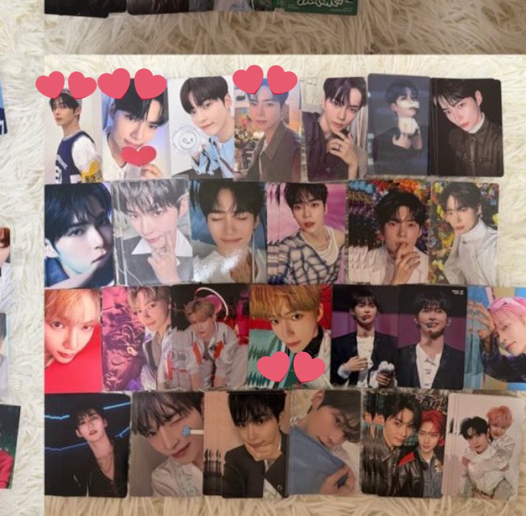 🐻‍❄️ tweet media