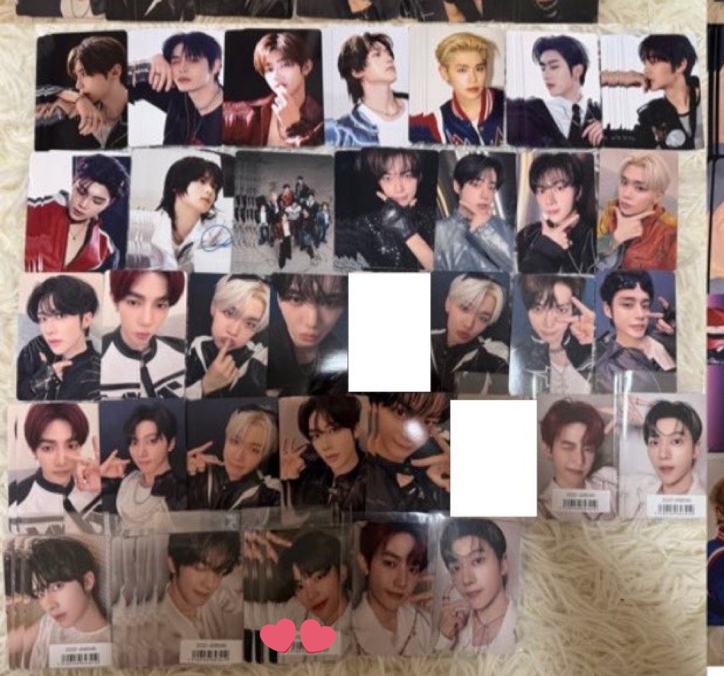 🐻‍❄️ tweet media