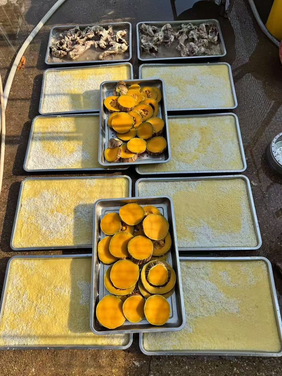 anndylian's tweet image. Donation to a private animal shelter in Xian, China. 

We continue to take care of animals within our means. I am using $BNB. You should, too.

Thank you, team @Blockcastcc, @redecentralise, @jennyzheng719, @AnndyFund, and Noel. 

PS: My previous post, dated 12 Nov, had a typo; I…