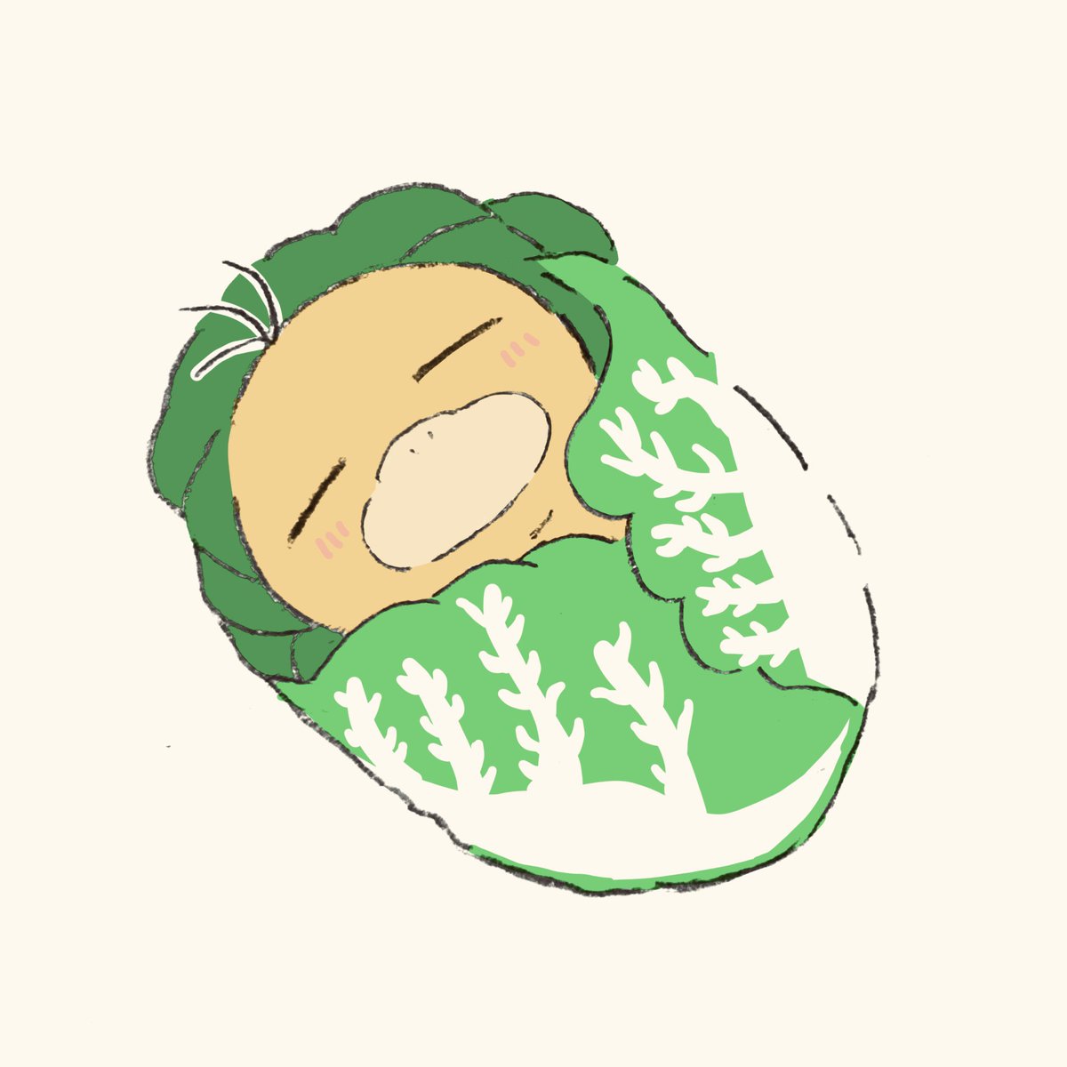 oyasumi_ohuton1's tweet image. 白菜おくるみベビコダちゃん