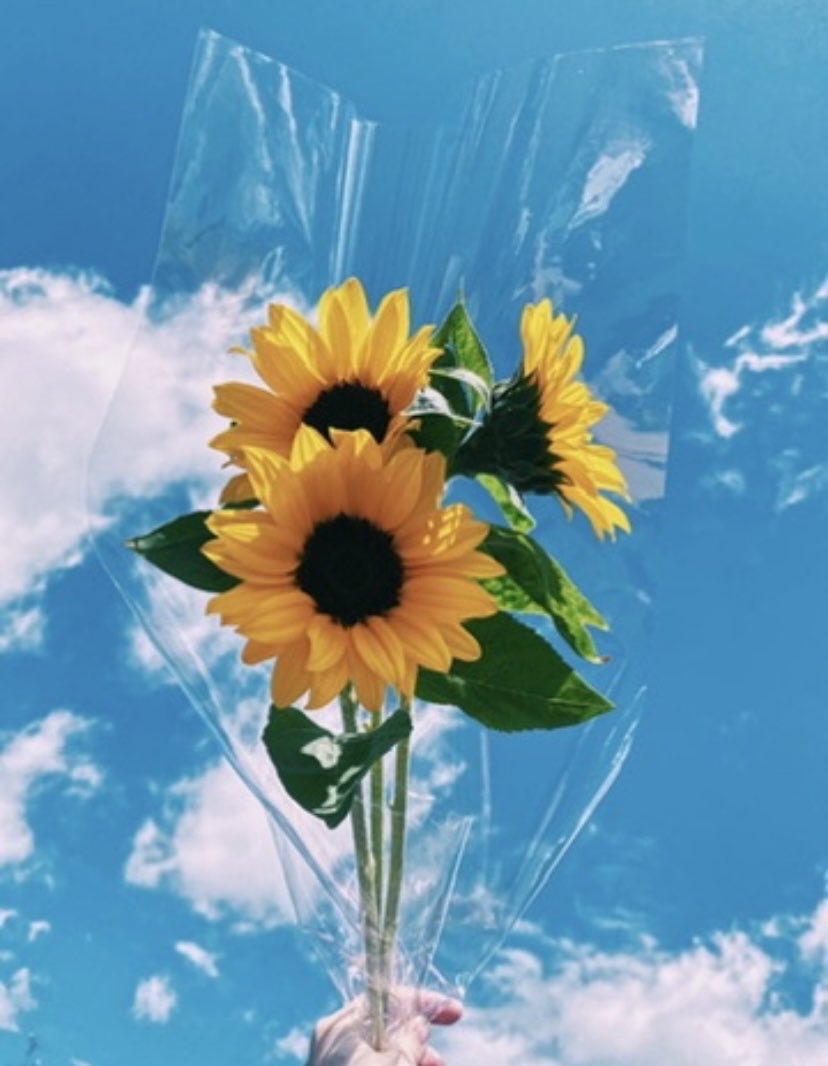 s2sakura08's tweet image. 輝いてる