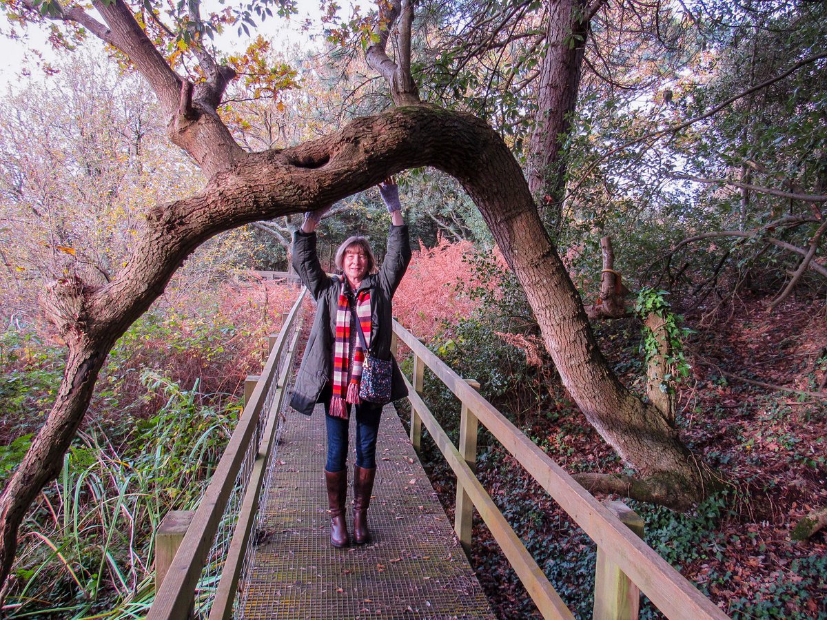 AliDiva_'s tweet image. This is my old friend at Lepe Country Park in Hampshire.  This beautiful old oak has given me a lot of strength over the years 💚