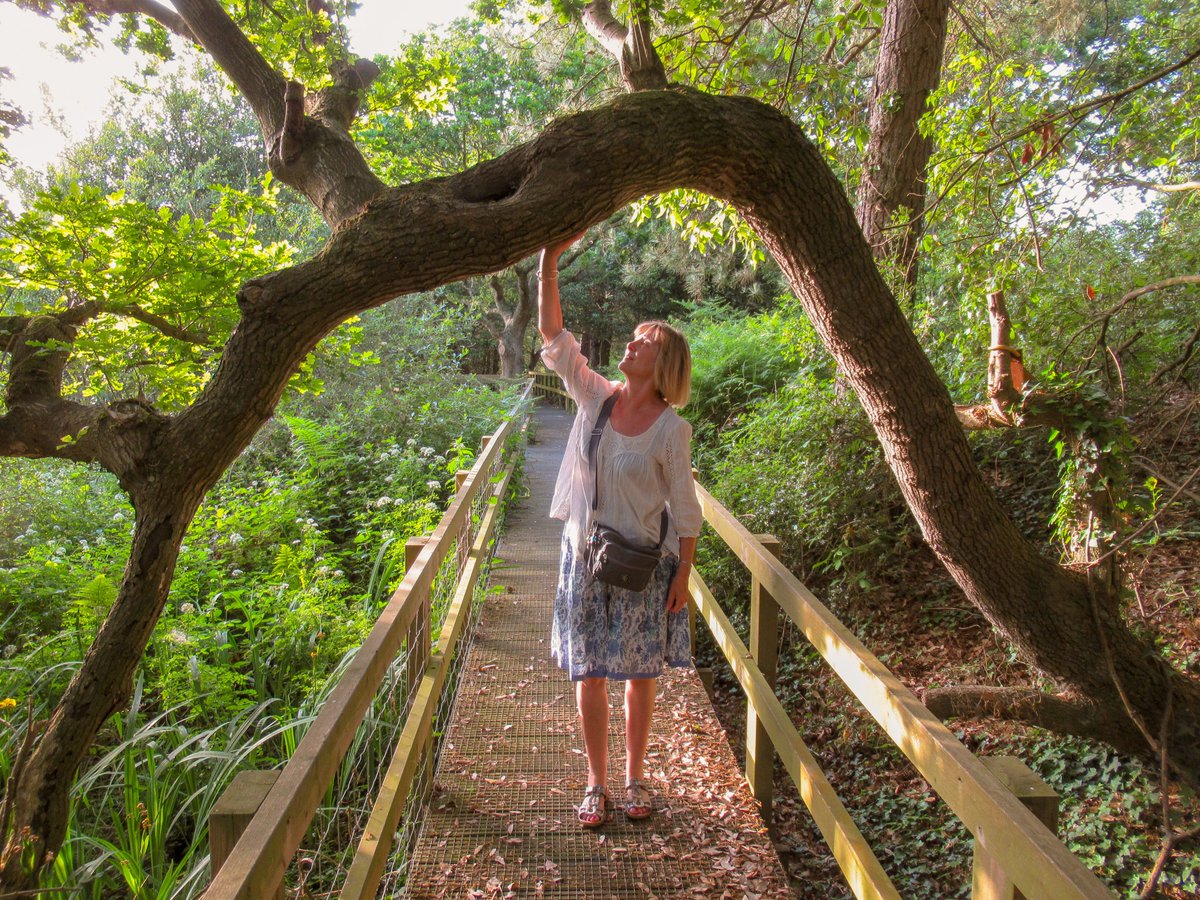AliDiva_'s tweet image. This is my old friend at Lepe Country Park in Hampshire.  This beautiful old oak has given me a lot of strength over the years 💚