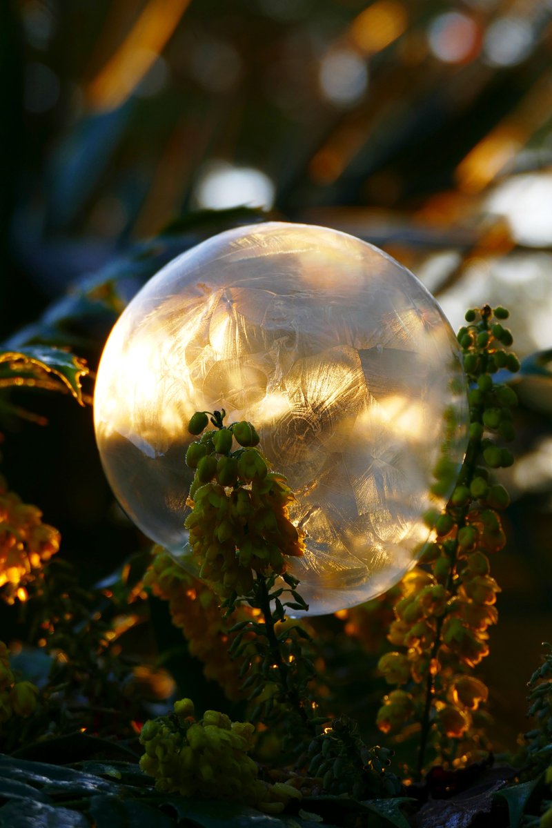 James Akrill - Frozen Bubble Photographer tweet media