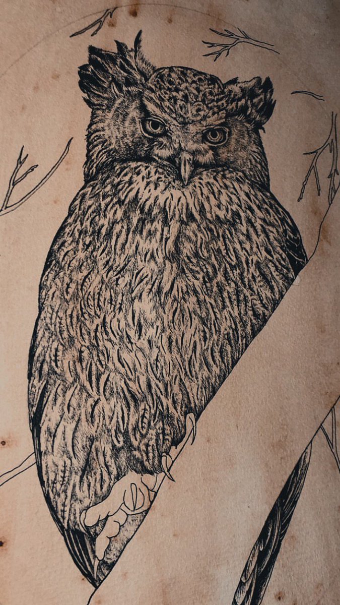 過去作🦉

新作もほんとうに少しずつですが、進めています💦

#ペン画 #イラスト #art #梟