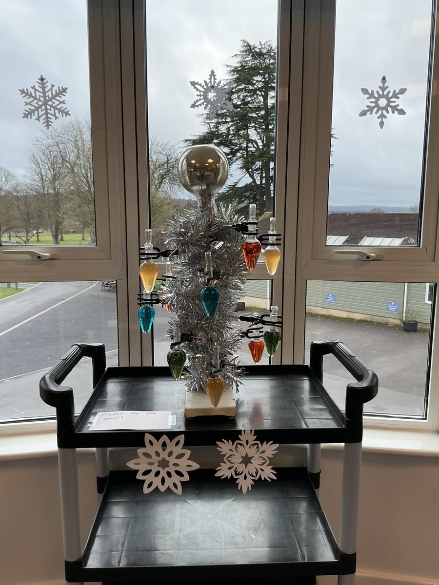 SG_STEM's tweet image. Christmas is coming so it is time for the 'Chemistree' in Chemistry Lab 1.