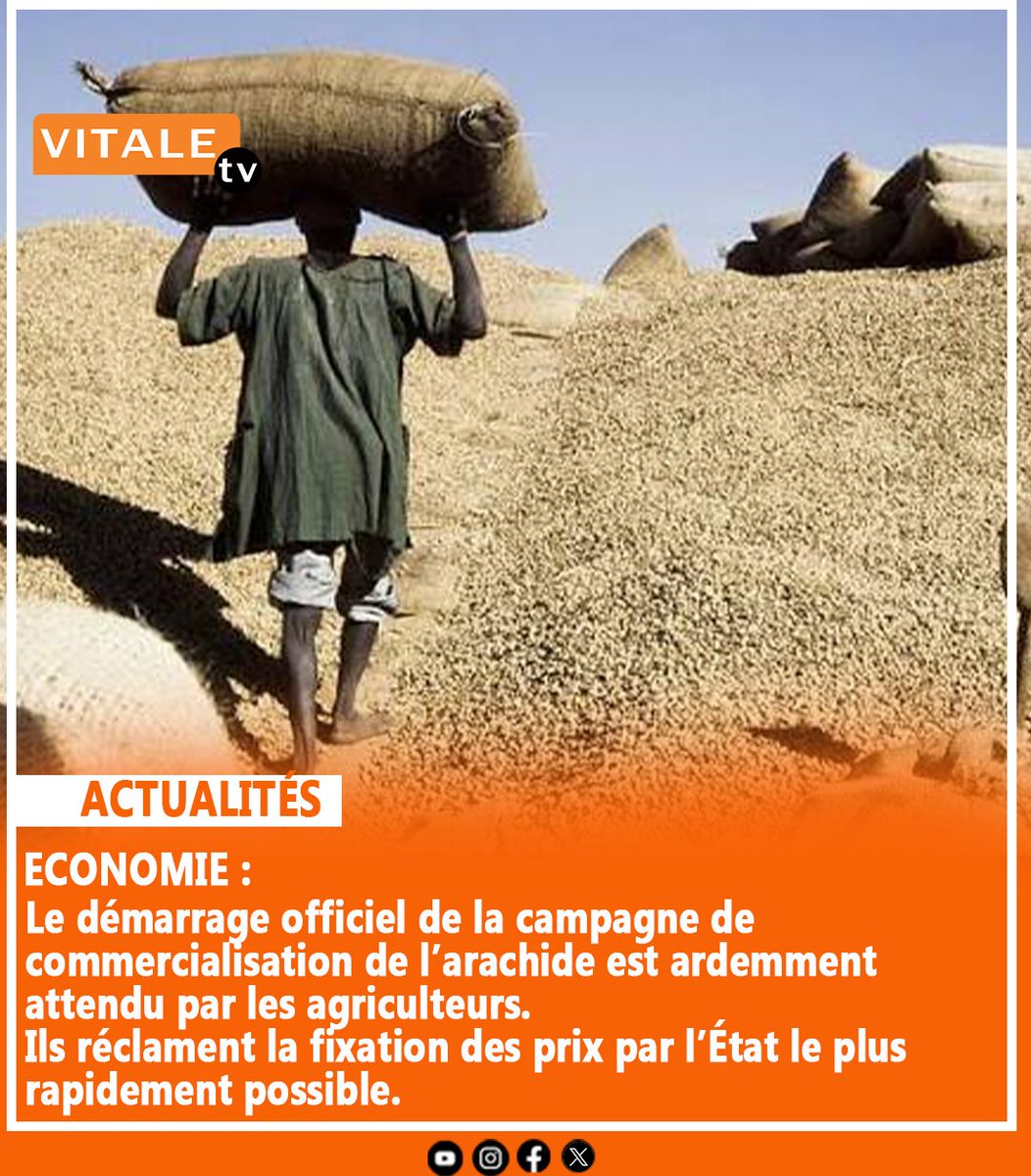 Moustapha__kane's tweet image. Les agriculteurs demandent à l'État de fixer le prix du kilogramme d'arachide à 500 FCFA.
#arachide #agriculture #economie