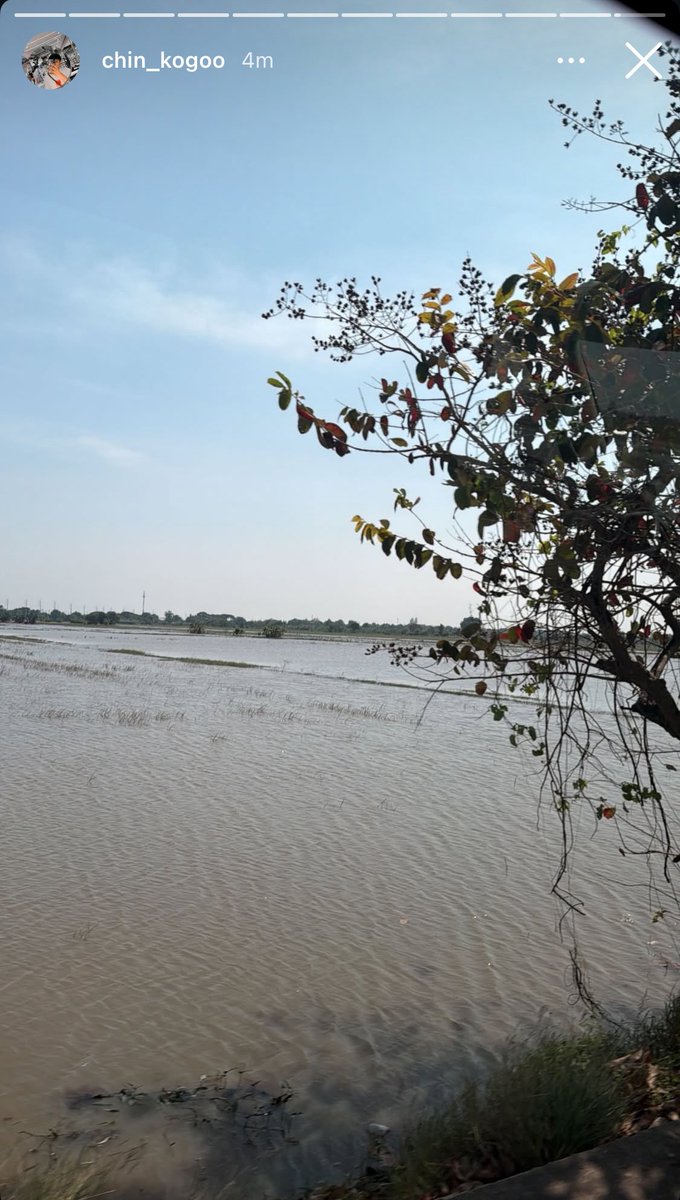 AnkitaNair2710's tweet image. 🦈: *pic*
🦈: morning kubbb☀️
🎸: you woke up so early
🎸: what are you doing?
🦈: i don’t know 🤔🤪

This is definitely sassy and cute Moth replying to Dean to make him and us Maniacs crazy 🤣 🤣 🤣 
These two are definitely together, such chaotic cutie pie crazy maniac babies…