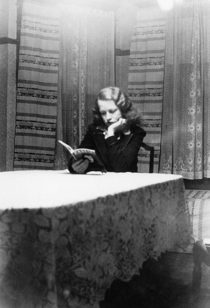 الآنسة هاء. (@shycat1950) on Twitter photo 