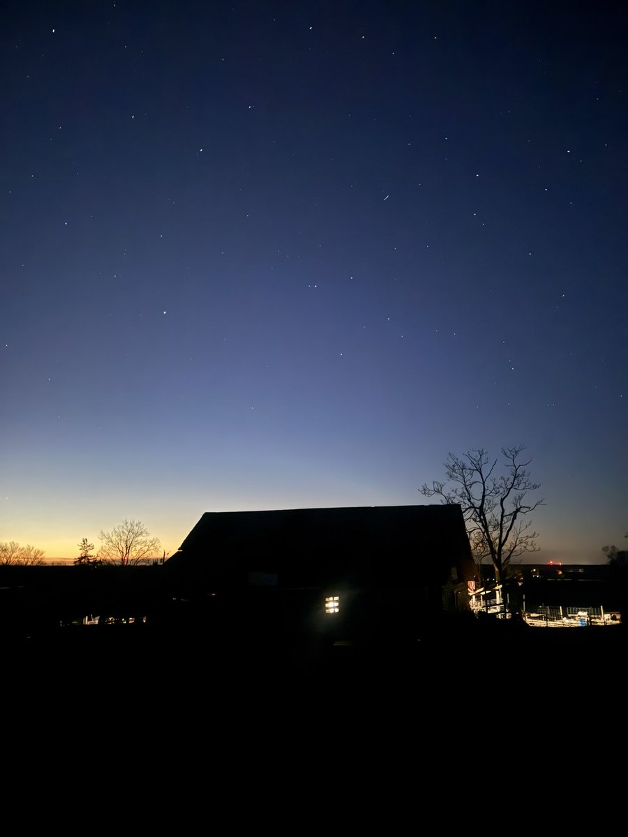 Peanut Coleman tweet media