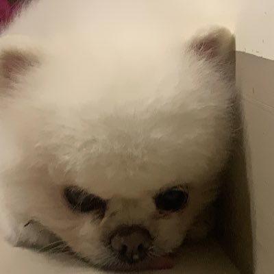 Alen25016693's tweet photo. #NewProfilePic (新個人資料照片) https://t.co/VzGAgo3Nhw