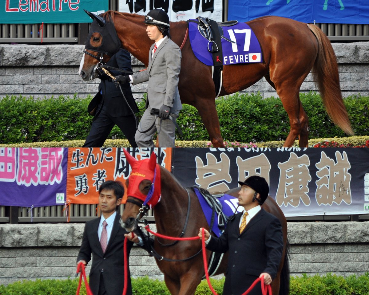 umatsuk_hkd3's tweet image. オルフェーヴルとの叩き合いを思い出します
命日はその13年前のジャパンカップと
同じ日だったんですね

ジェンティルドンナ、お疲れ様でした