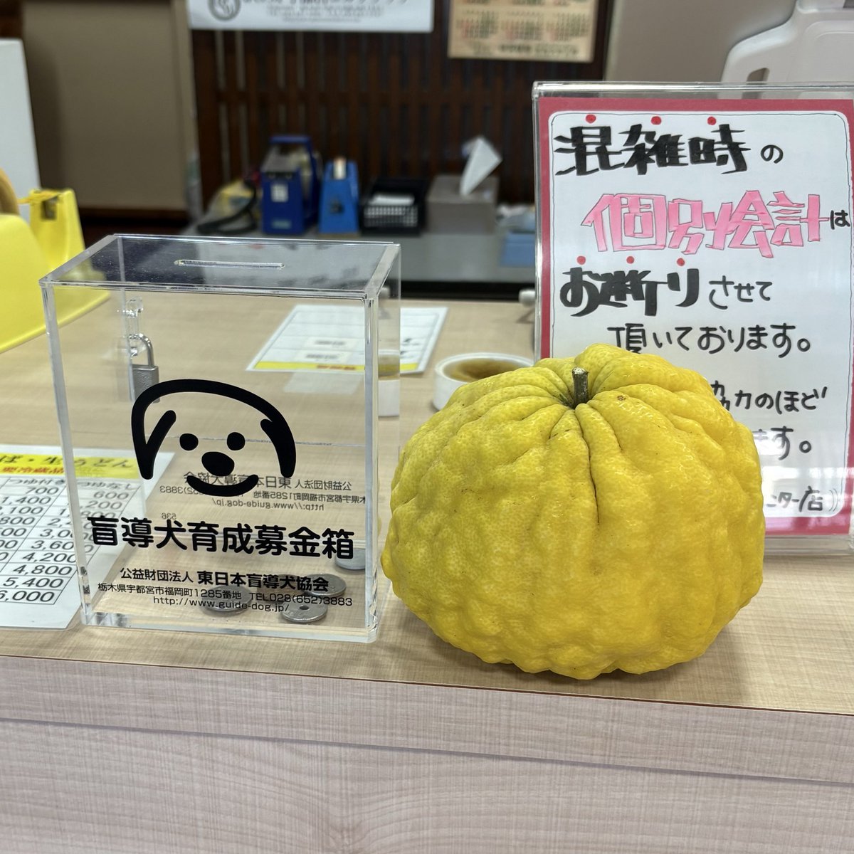 盲導犬協会の募金がいっぱいになり底が抜けてしまったので、お願いして新しいものを置きました。2店舗分もらったら可愛らしくて手放したくない森友店は、インター店にアクリル箱を渡しましたとさ。募金くだされば湯波のおから、今なら入浴剤をお持ち帰りになれますぜ！

#盲導犬 #盲導犬協会