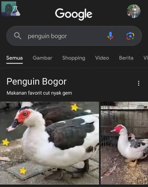 Grizzz⸝⸝❰❀🦋✿ tweet media